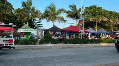 Outdoor tent market under palms with food stalls facing the road
