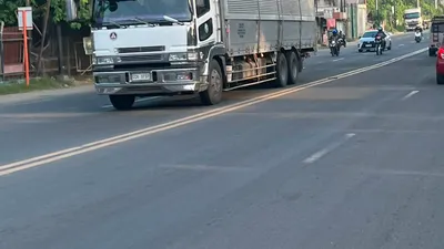 White cargo truck on the highway passing under a pedestrian footbridge