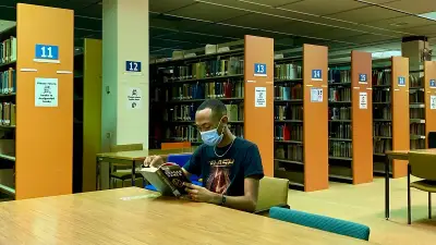 Student studying in their apartment
